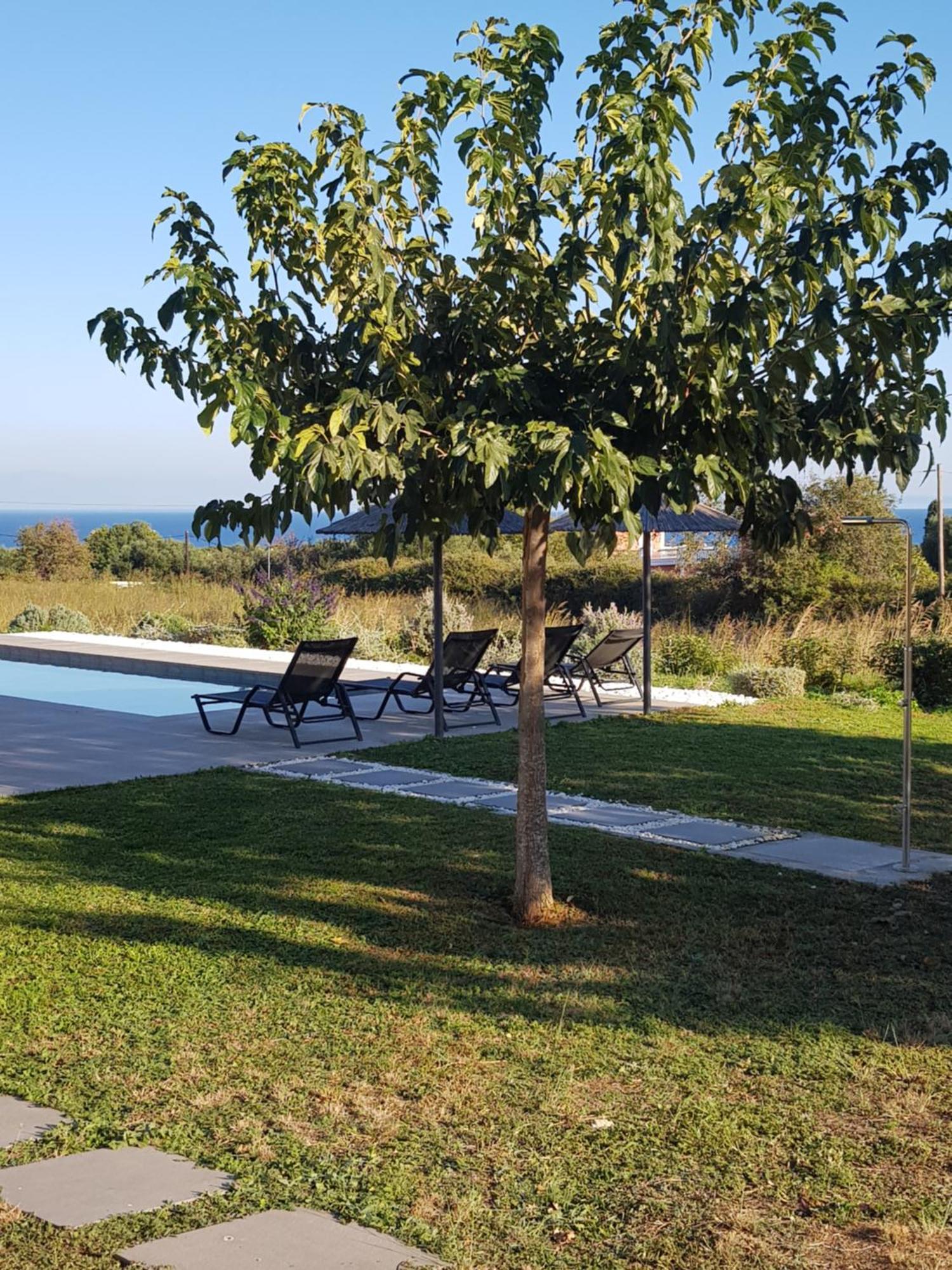 Alberi - Izla Homes Skala  Extérieur photo